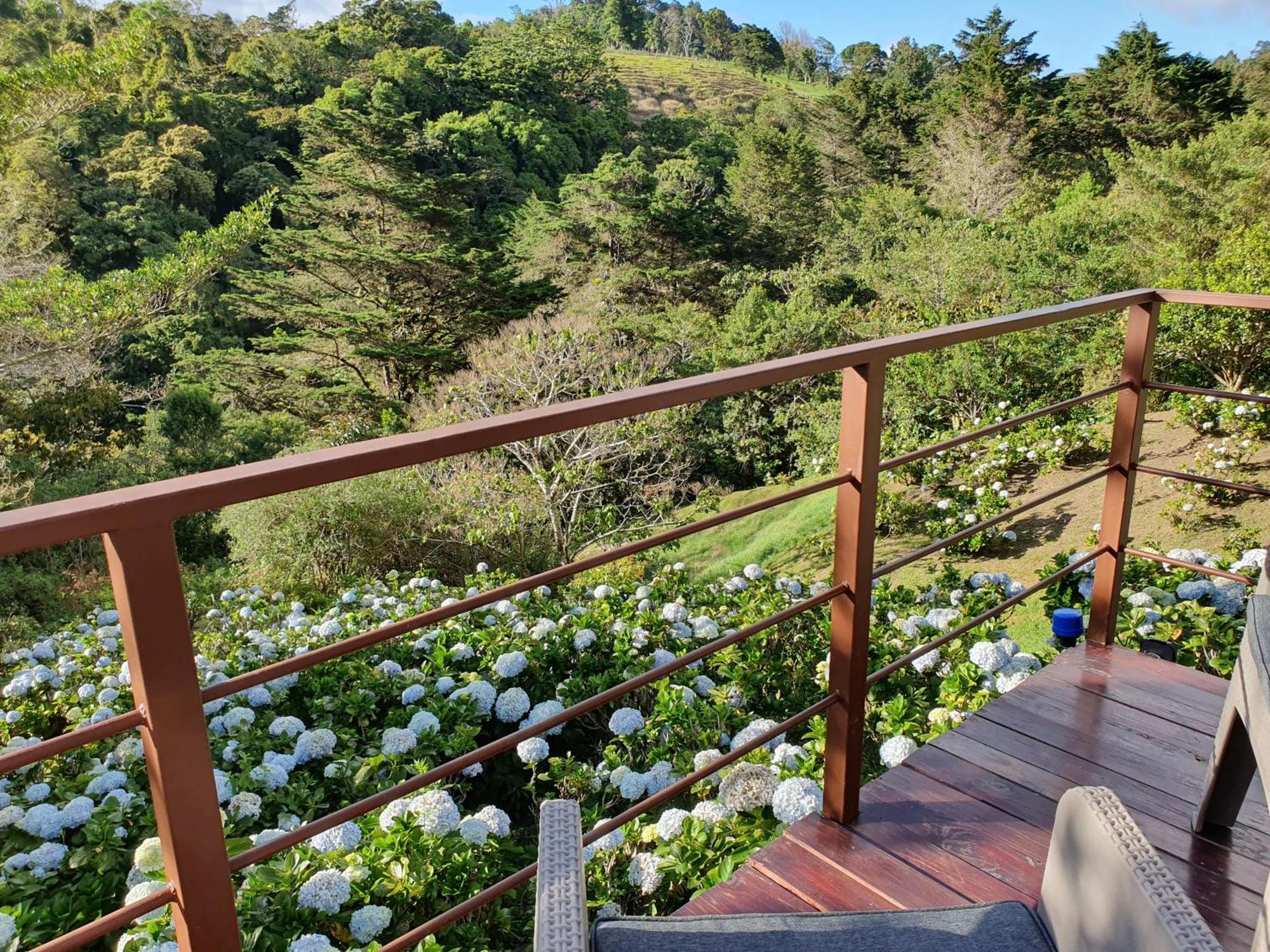 Quinta Esencia Villa Alajuela Екстериор снимка