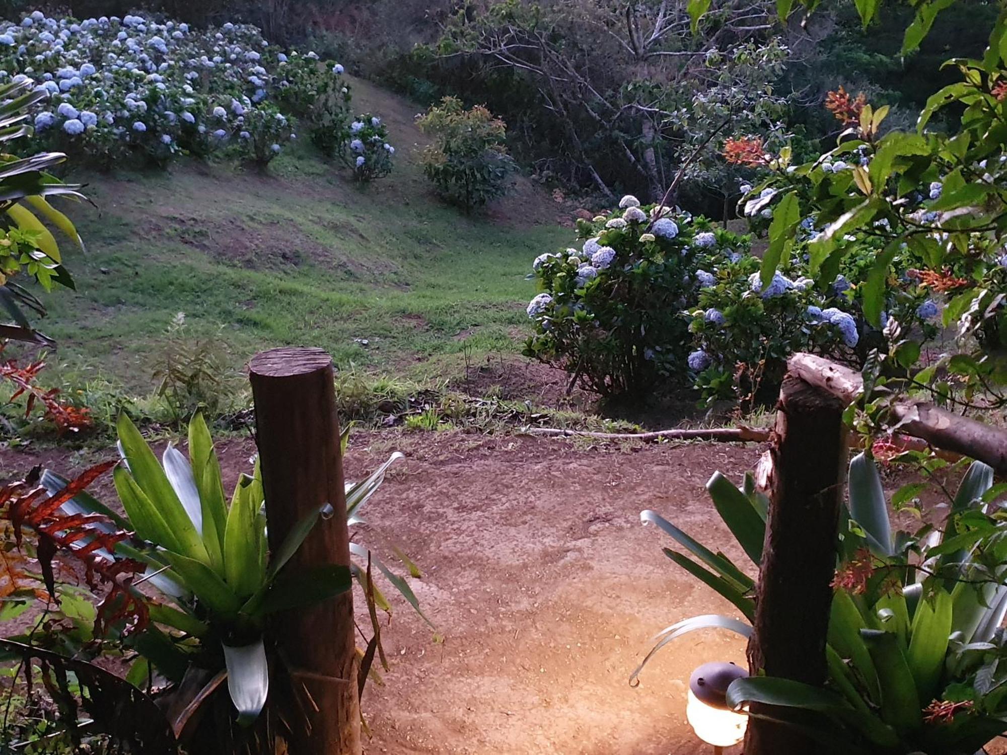 Quinta Esencia Villa Alajuela Екстериор снимка