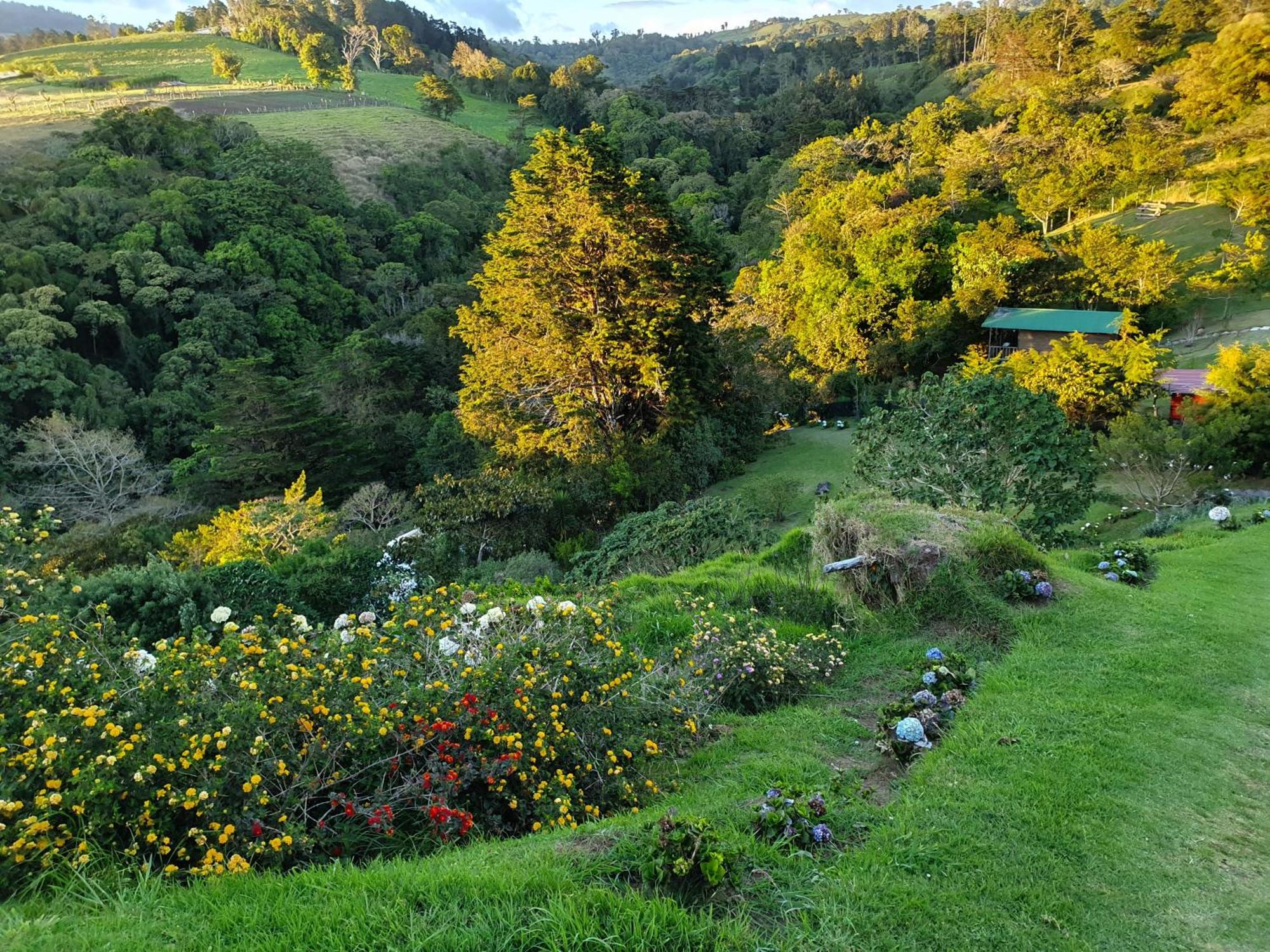 Quinta Esencia Villa Alajuela Екстериор снимка